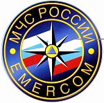МЧС России по Пушкинскому городскому округу